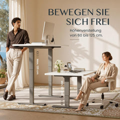 Zit sta bureau - Elektrisch - Verstelbaar - Bureauframe - Zilver - EC5S-LITE - FLEXISPOT