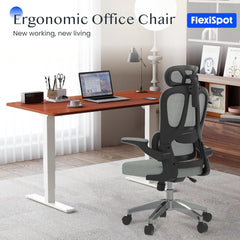 Ergonomische Bureaustoel -  Office Chair - Gamestoel - Volwassenen - Grijs - OC19G - FLEXISPOT