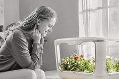 ACQUARAGIA Green Farm Hydroponische Kas, Hydroponisch kweeksysteem voor kruiden, planten en bloemen met LED-lamp, inclusief voedingsoplossingsset, creëer je eigen moestuin thuis, 60 x 37,5 x 42,5 cm