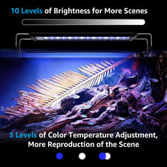 Aquariumverlichting - 42-62 cm - 10 Watt - Aquarium licht - Nobleza