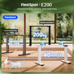 FLEXISPOT Heavy duty bureauframe, elektrisch met 2 motoren, groot hoogtebereik en extra hoge belastbaarheid, 4 geheugenplaatsen en USB, tot 200kg