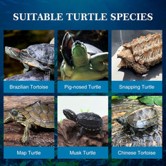 Schildpad voer - Schildpadvoer - Gammarus - 320g - 3L - Nobleza