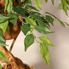 Kunstmatige ficus met gebogen stammen, 150 cm, realistische ficus met verstelbare takken en bladeren, kunstboom voor thuis, kantoor of woonkamer, inclusief witte pot