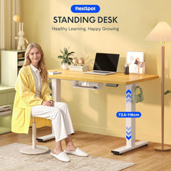 Zit sta bureau - Elektrisch - Verstelbaar - 120x60 cm - Wit/Bruin - QE1M - FLEXISPOT