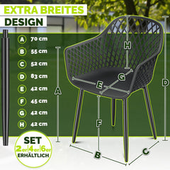 Tuinstoelen - Weerbestendig - Met armleuning - Set van 2 - Zwart - Tillvex®