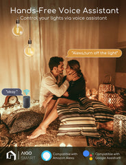 Aigostar 10YHY - LED Lampen E27 Dimbaar - Smart Filament Licht - Vintage Filament Lamp in Bolvorm - WiFi - Bluetooth - Appbesturing - 6W - 2700K-6500K