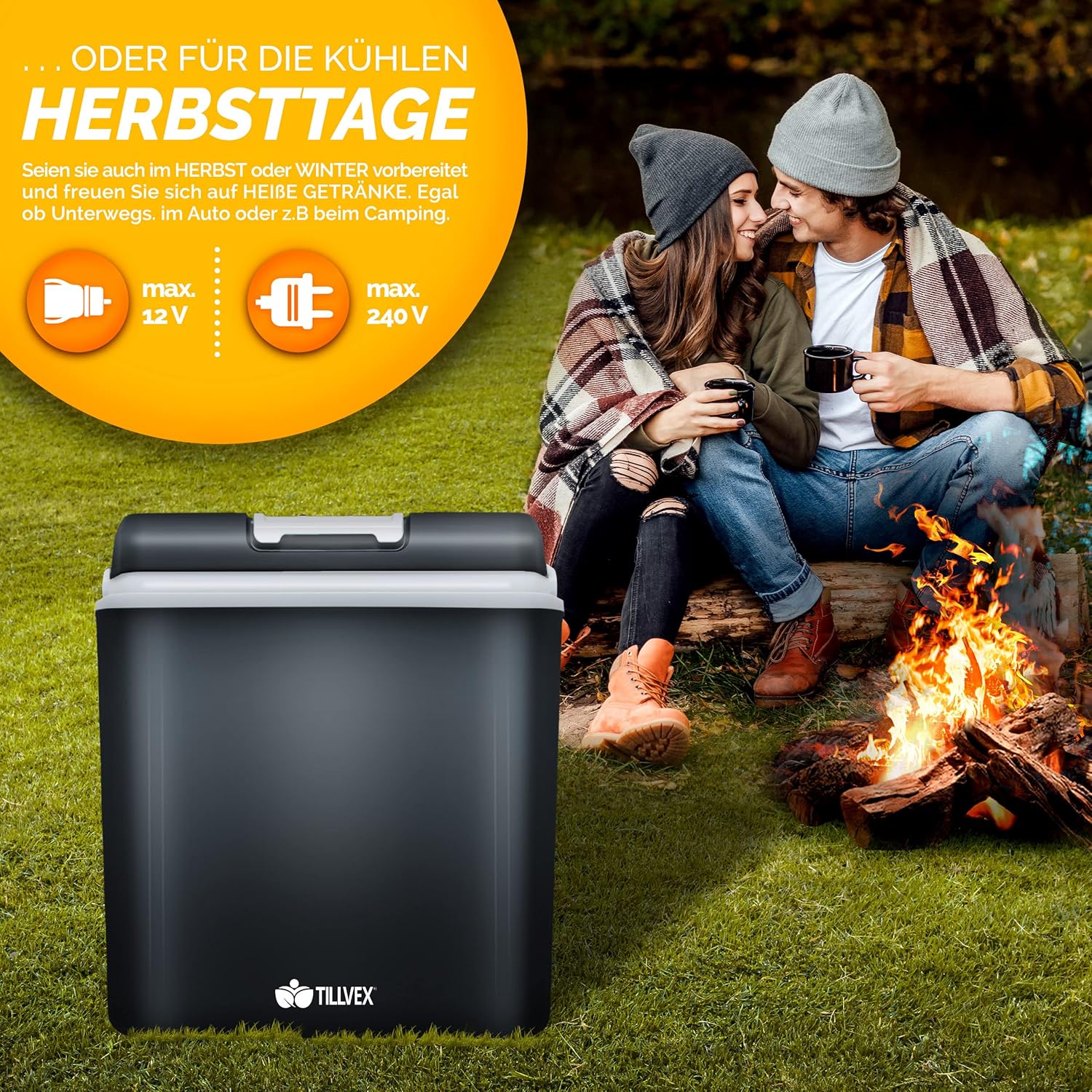Koelbox Elektrisch – 12V en 230 volt - Coolbox - Frigobox - 24L – Grijs