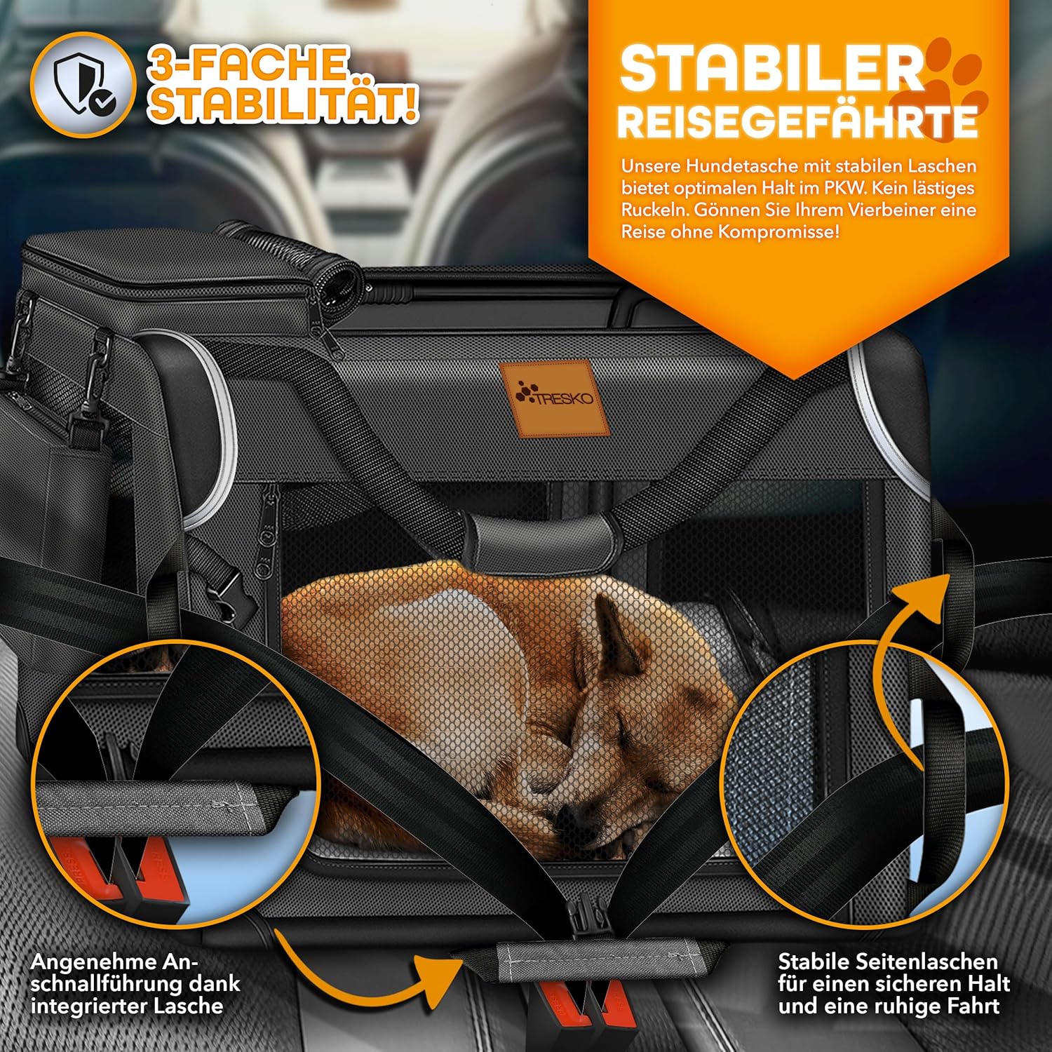 Reisbench hond - Draagtas hond - Transportbox - 50x34x34 cm - Zwart
