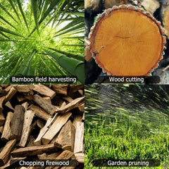 Mini kettingzaag - Elektrische snoeischaar - Met accu - Zwart - Mulcort