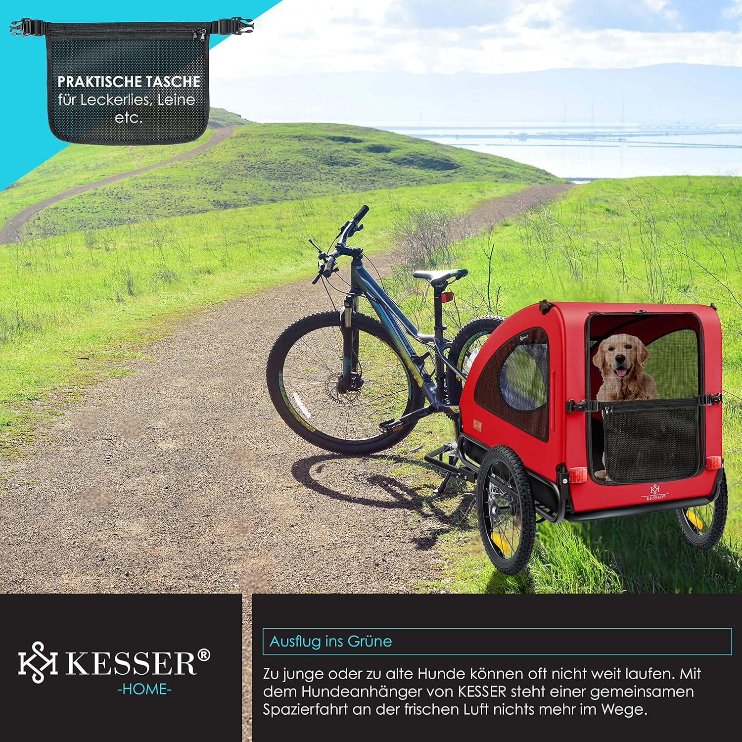 KESSER® Hundeanhänger Boxer 2-in-1 Hundebuggy Fahrradanhänger groß ca. 250L Volumen - Inkl. Fahne und Tasche - 600D Oxford Canvas, Klappbar SmartSpace Concept, max. 45kg