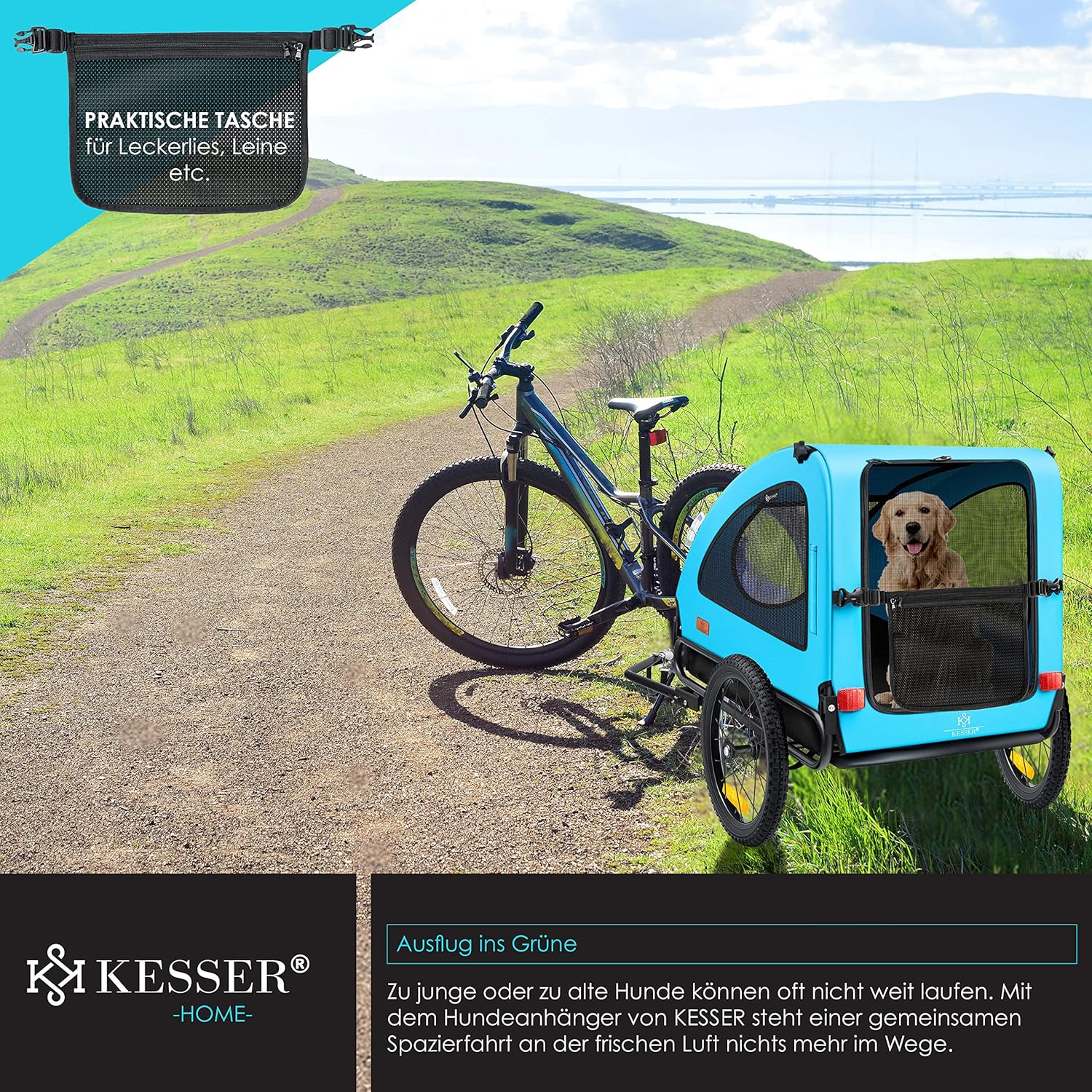 KESSER® Hundeanhänger Boxer 2-in-1 Hundebuggy Fahrradanhänger groß ca. 250L Volumen - Inkl. Fahne und Tasche - 600D Oxford Canvas, Klappbar SmartSpace Concept, max. 45kg
