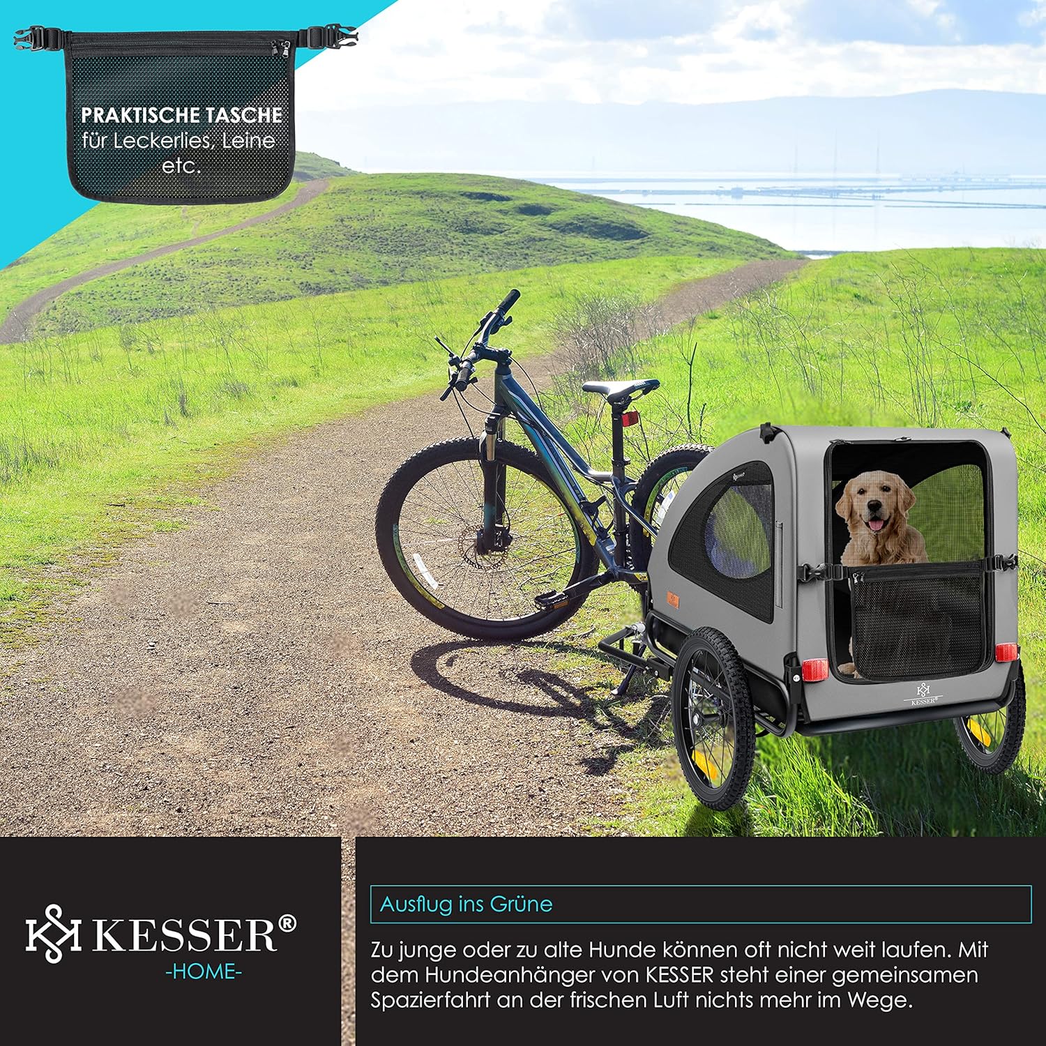 KESSER® Hundeanhänger Boxer 2-in-1 Hundebuggy Fahrradanhänger groß ca. 250L Volumen - Inkl. Fahne und Tasche - 600D Oxford Canvas, Klappbar SmartSpace Concept, max. 45kg