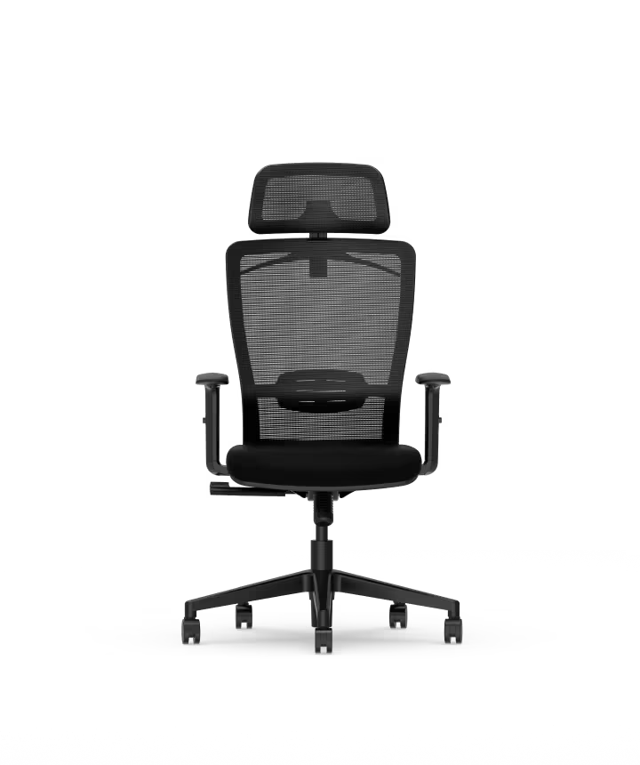Ergonomische Bureaustoel -  Office Chair - Gamestoel - Volwassenen - Zwart - FLEXISPOT