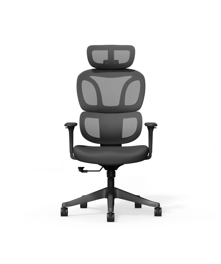 Ergonomische Bureaustoel -  Office Chair - Gamestoel - Volwassenen - Zwart - FLEXISPOT