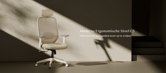 FLEXISPOT Ergonomische Bureaustoel met Eenvoudige Bediening en Zacht Hoofdsteun (C5W)