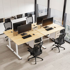 Zit sta bureau - Elektrisch - Verstelbaar - Bureauframe - Wit - E1-PRO - FLEXISPOT