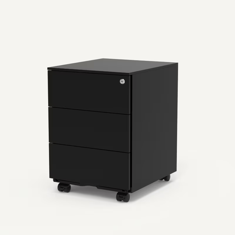 FLEXISPOT Mobiele ladenblok RC2, Zwart