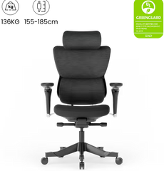 FLEXISPOT Verstelbare ergonomische stoel met drukverlagend kussen (C7 Max) •