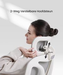FLEXISPOT Ergonomische Stof-bureaustoel - met uittrekbaar voetensteun - BS5WG