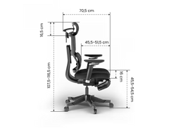 FLEXISPOT Verstelbare ergonomische stoel met drukverlagend kussen (C7 Max) •