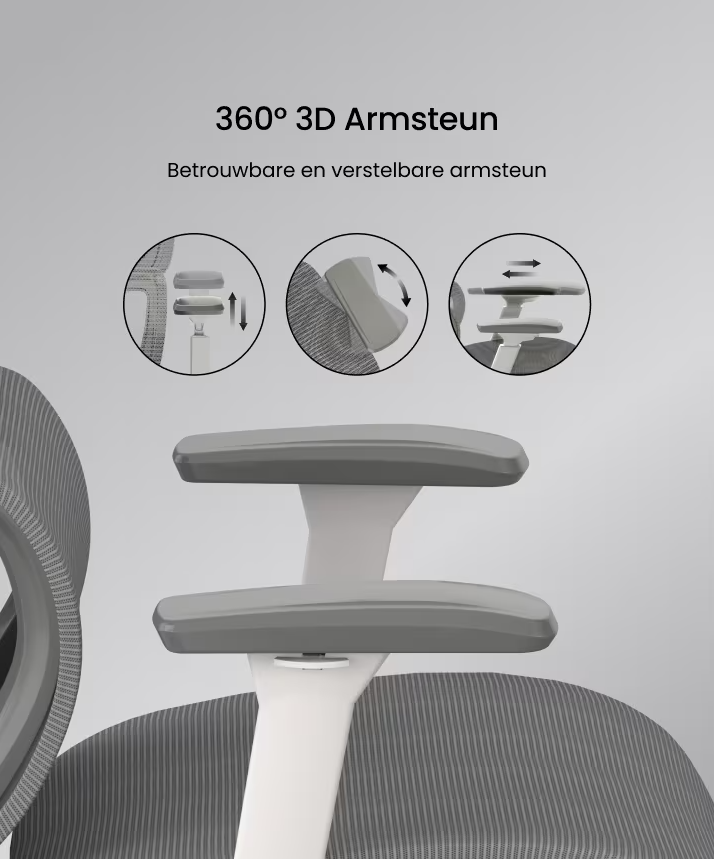 Ergonomische Bureaustoel -  Office Chair - Gamestoel - Volwassenen - Grijs - FLEXISPOT