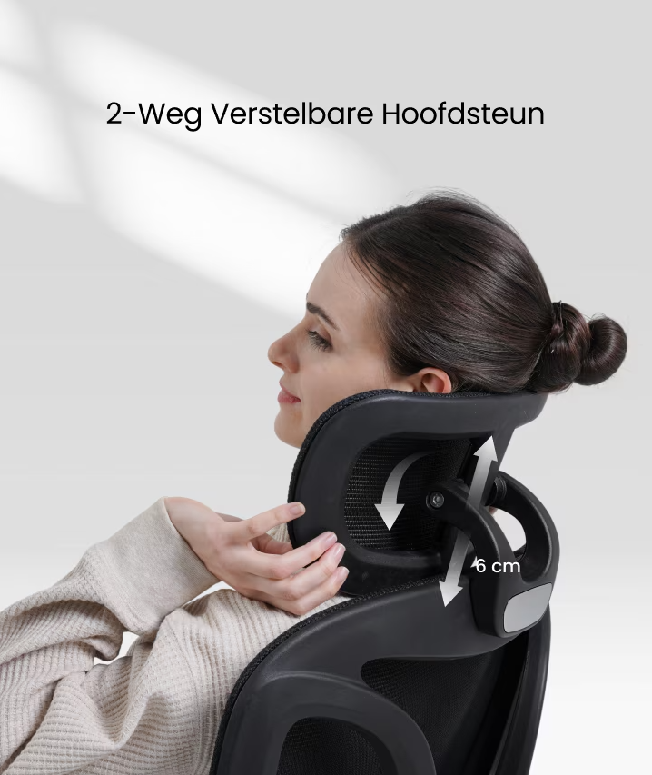 Ergonomische Bureaustoel -  Office Chair - Gamestoel - Volwassenen - Zwart - FLEXISPOT
