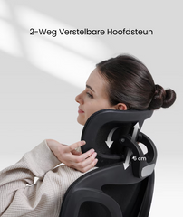 Ergonomische Bureaustoel -  Office Chair - Gamestoel - Volwassenen - Zwart - FLEXISPOT
