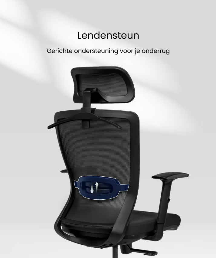 Ergonomische Bureaustoel -  Office Chair - Gamestoel - Volwassenen - Zwart - FLEXISPOT