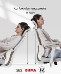 Ergonomische Bureaustoel -  Office Chair - Gamestoel - Volwassenen - Lichtgrijs - FLEXISPOT