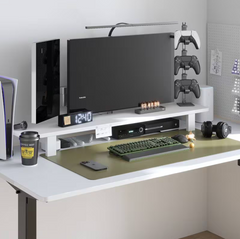 FLEXISPOT Monitorstandaard MS04 (MS04)