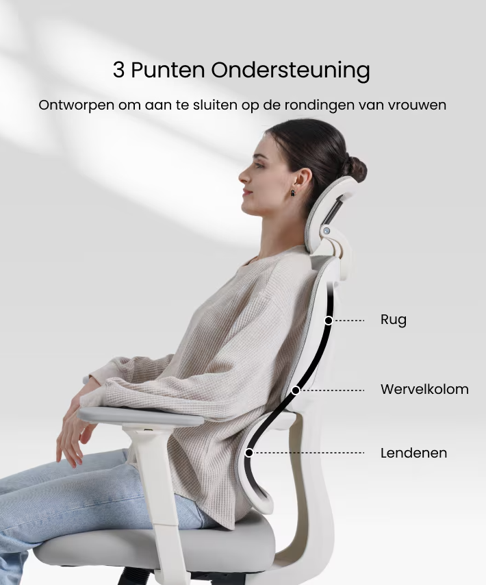 Ergonomische Bureaustoel -  Office Chair - Gamestoel - Volwassenen - Lichtgrijs - FLEXISPOT