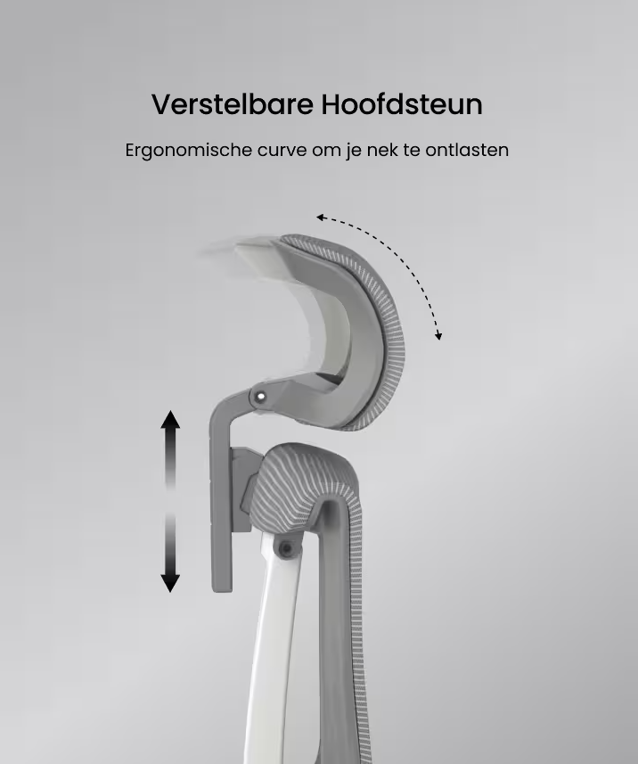 Ergonomische Bureaustoel -  Office Chair - Gamestoel - Volwassenen - Grijs - FLEXISPOT
