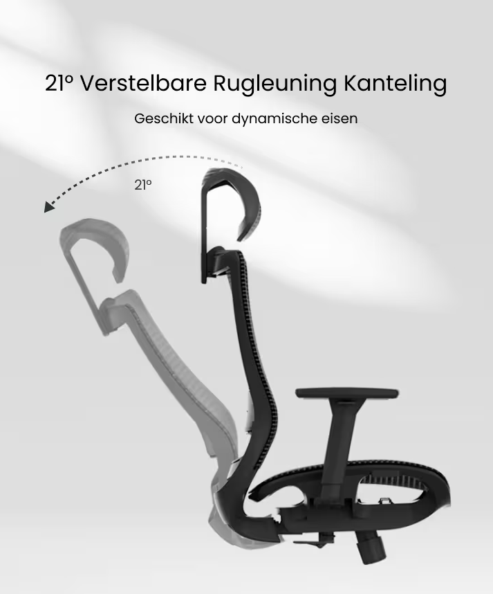 Ergonomische Bureaustoel -  Office Chair - Gamestoel - Volwassenen - Zwart - FLEXISPOT