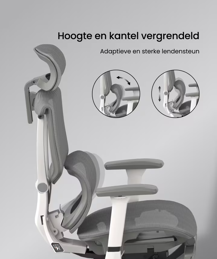 Ergonomische Bureaustoel -  Office Chair - Gamestoel - Volwassenen - Grijs - FLEXISPOT