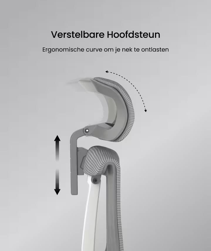 Ergonomische Bureaustoel -  Office Chair - Gamestoel - Volwassenen - Grijs - FLEXISPOT