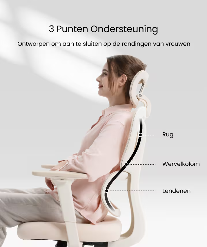 Ergonomische Bureaustoel -  Office Chair - Gamestoel - Volwassenen - FLEXISPOT