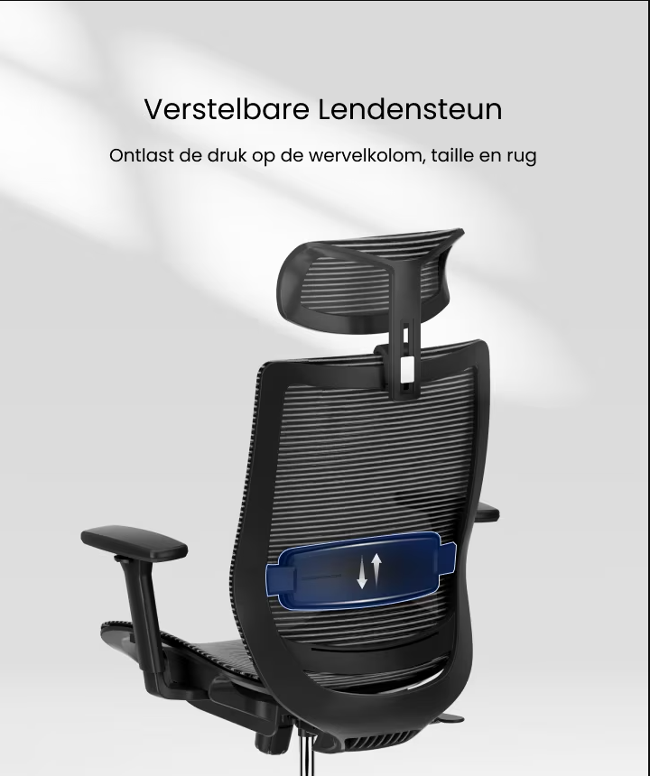 Ergonomische Bureaustoel -  Office Chair - Gamestoel - Volwassenen - Zwart - FLEXISPOT