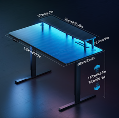Zit sta bureau - Elektrisch - Verstelbaar - 120x60 cm - Zwart - HLFURNIEU