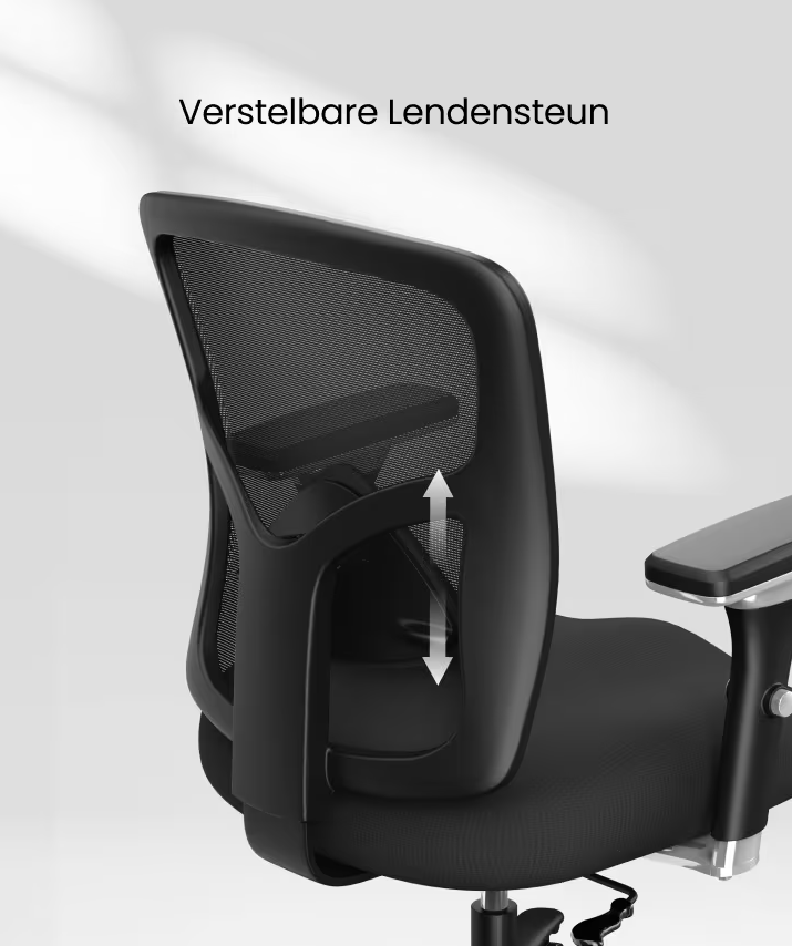 Ergonomische Bureaustoel -  Office Chair - Gamestoel - Volwassenen - Zwart - FLEXISPOT