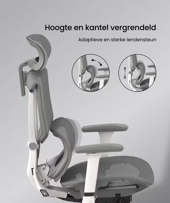 Ergonomische Bureaustoel -  Office Chair - Gamestoel - Volwassenen - Grijs - FLEXISPOT