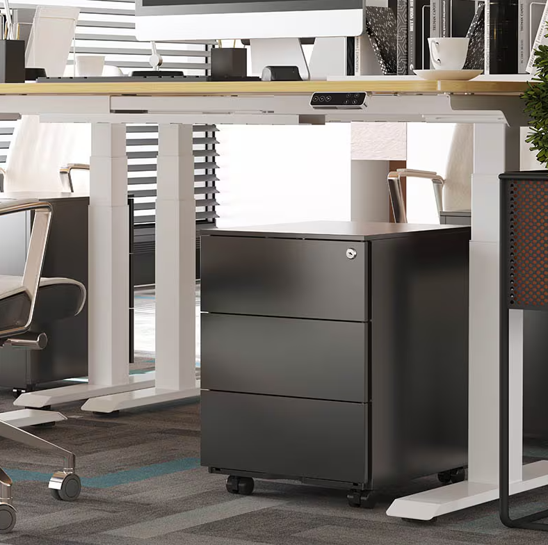 FLEXISPOT Mobiele ladenblok RC2, Zwart
