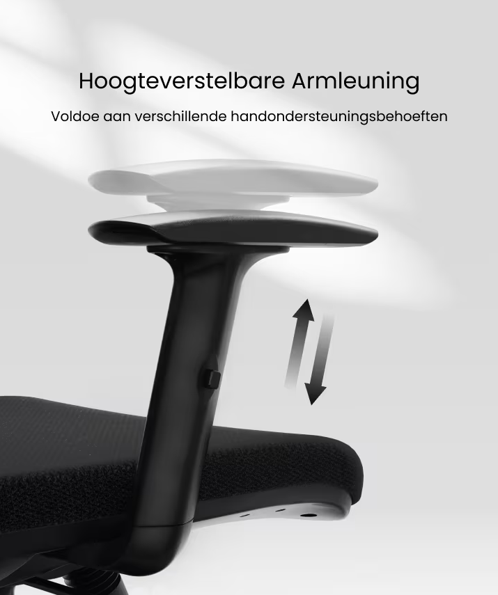 Ergonomische Bureaustoel -  Office Chair - Gamestoel - Volwassenen - Zwart - FLEXISPOT
