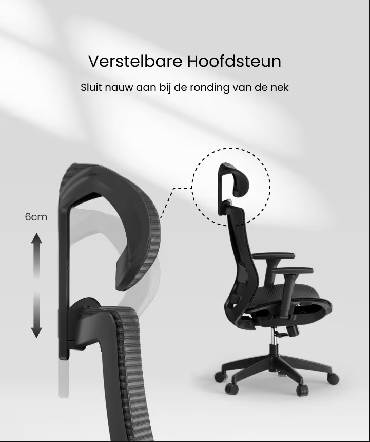 Ergonomische Bureaustoel -  Office Chair - Gamestoel - Volwassenen - Zwart - FLEXISPOT