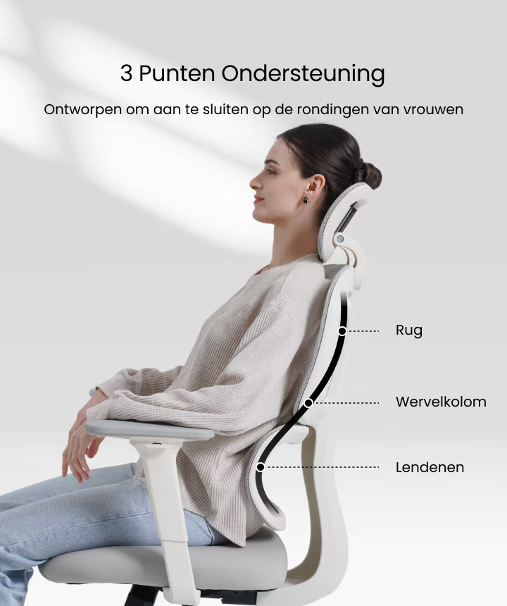 Ergonomische Bureaustoel -  Office Chair - Gamestoel - Volwassenen - Lichtgrijs - FLEXISPOT