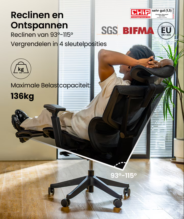 Ergonomische Bureaustoel -  Office Chair - Gamestoel - Volwassenen - Grijs - FLEXISPOT