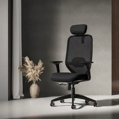 FLEXISPOT Ergonomische bureaustoel C5B-F1-HD, 4D-armleuningen, zwart