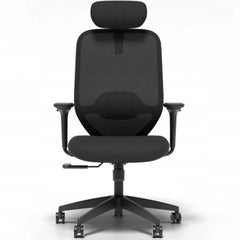 FLEXISPOT Ergonomische bureaustoel C5B-F1-HD, 4D-armleuningen, zwart