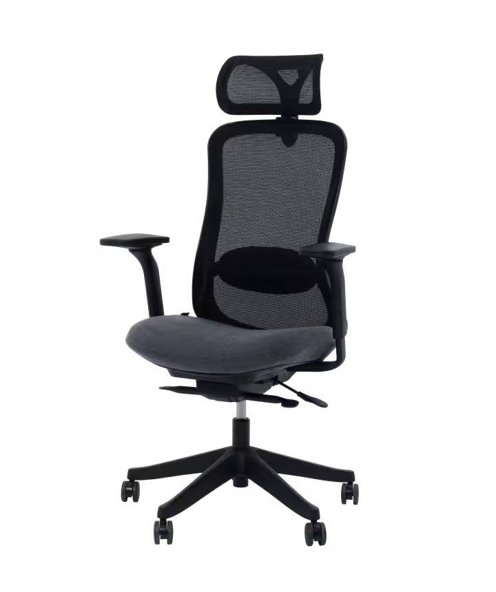 Ergonomische Bureaustoel -  Office Chair - Gamestoel - Volwassenen - Zwart - FLEXISPOT