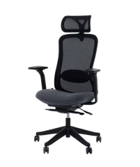 Ergonomische Bureaustoel -  Office Chair - Gamestoel - Volwassenen - Zwart - FLEXISPOT