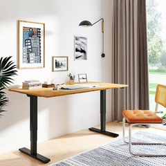 Zit sta bureau - Elektrisch - Verstelbaar - Bureauframe - Zwart - ED5B - FLEXISPOT